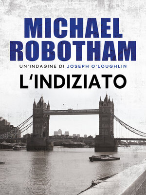 cover image of L'indiziato